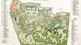 Resolution der verdi-Betriebsgruppe der FU Berlin für den Erhalt der Dienststelle Botanischer Garten